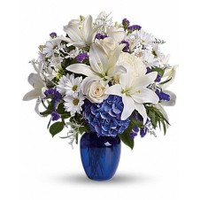 Beautiful in Blue in a Vase